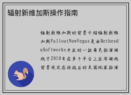辐射新维加斯操作指南